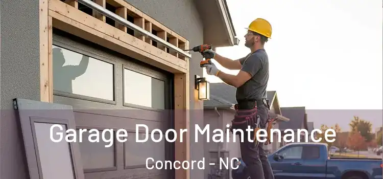  Garage Door Maintenance Concord - NC