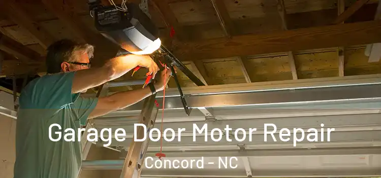  Garage Door Motor Repair Concord - NC