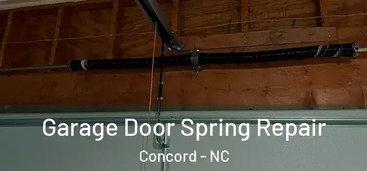  Garage Door Spring Repair Concord - NC
