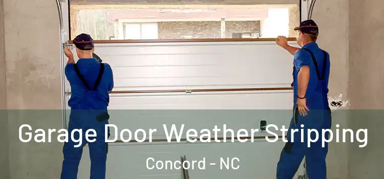  Garage Door Weather Stripping Concord - NC