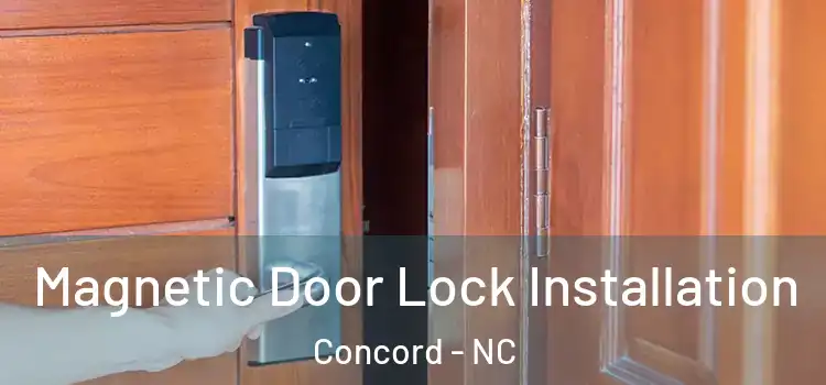  Magnetic Door Lock Installation Concord - NC