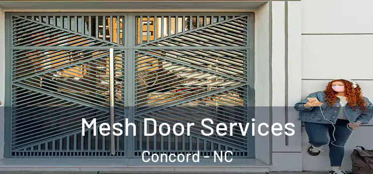 Mesh Door Services Concord - NC